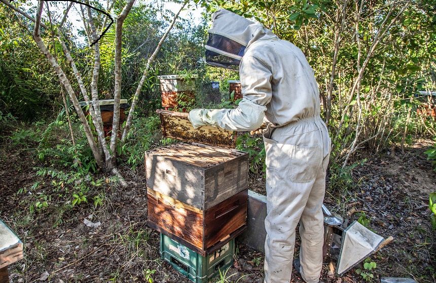 Beekeeping Checklist By The Seasons