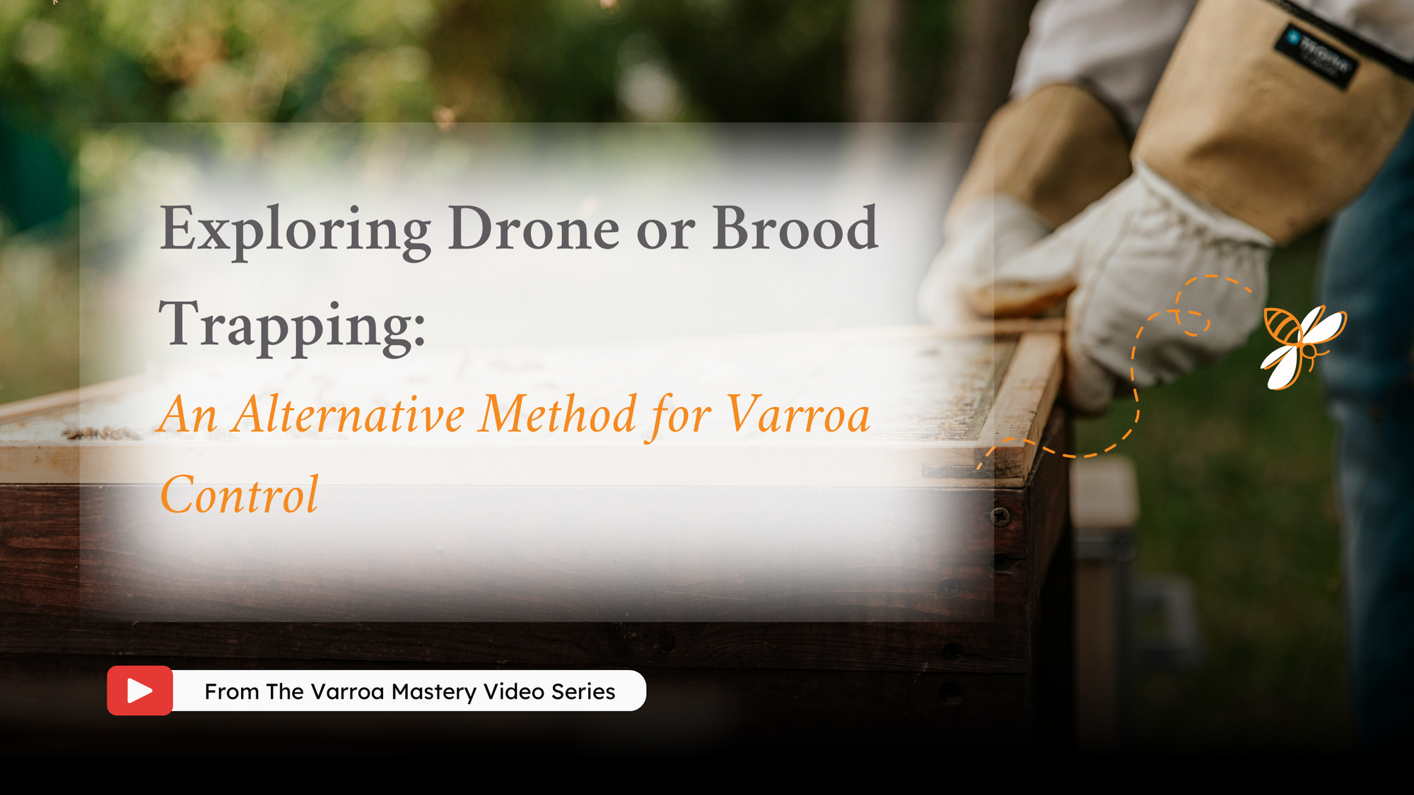 Exploring Drone or Brood Trapping: An Alternative Method for Varroa Control