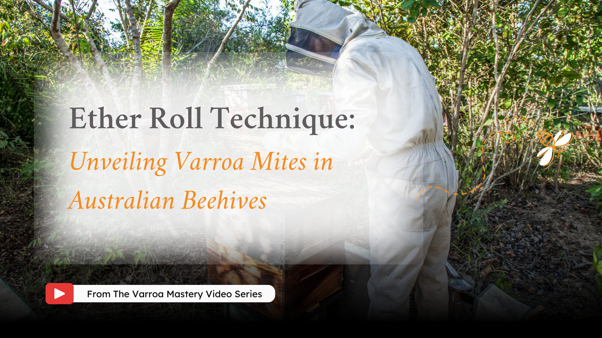 Ether Roll Technique: Unveiling Varroa Mites in Australian Beehives
