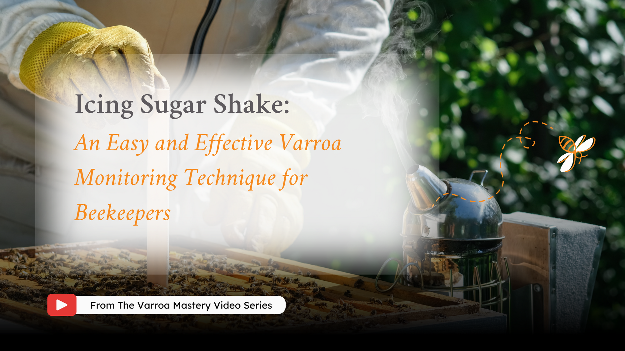 Icing Sugar Shake: An Easy and Effective Varroa Monitoring Technique for Beekeepers