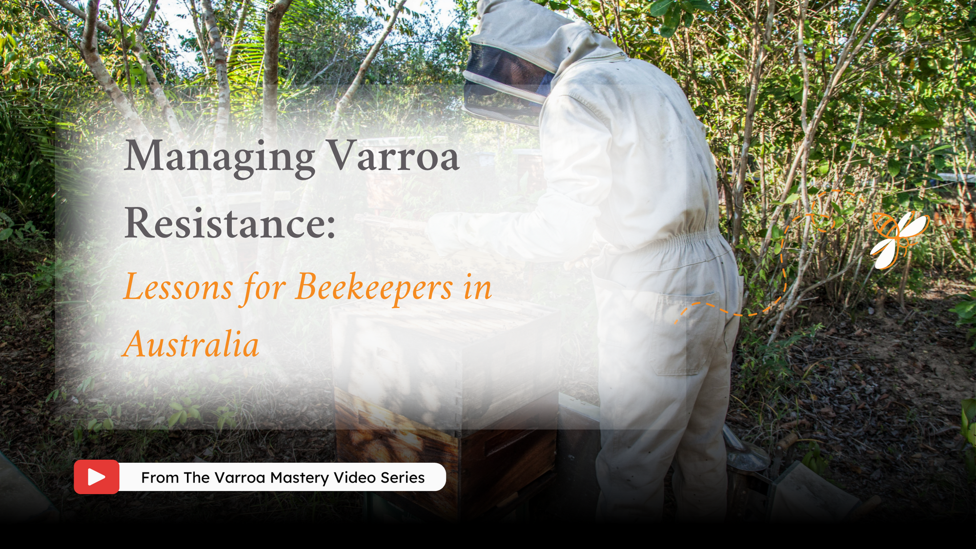 Managing Varroa Resistance: Lessons for Beekeepers in Australia