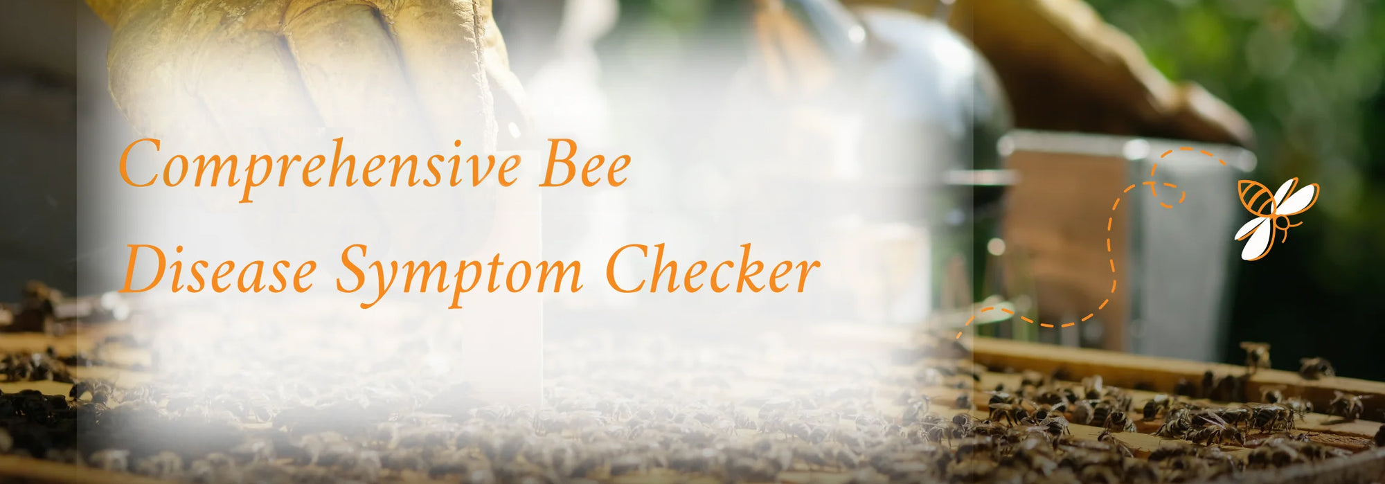Comprehensive Bee Disease Symptom Checker