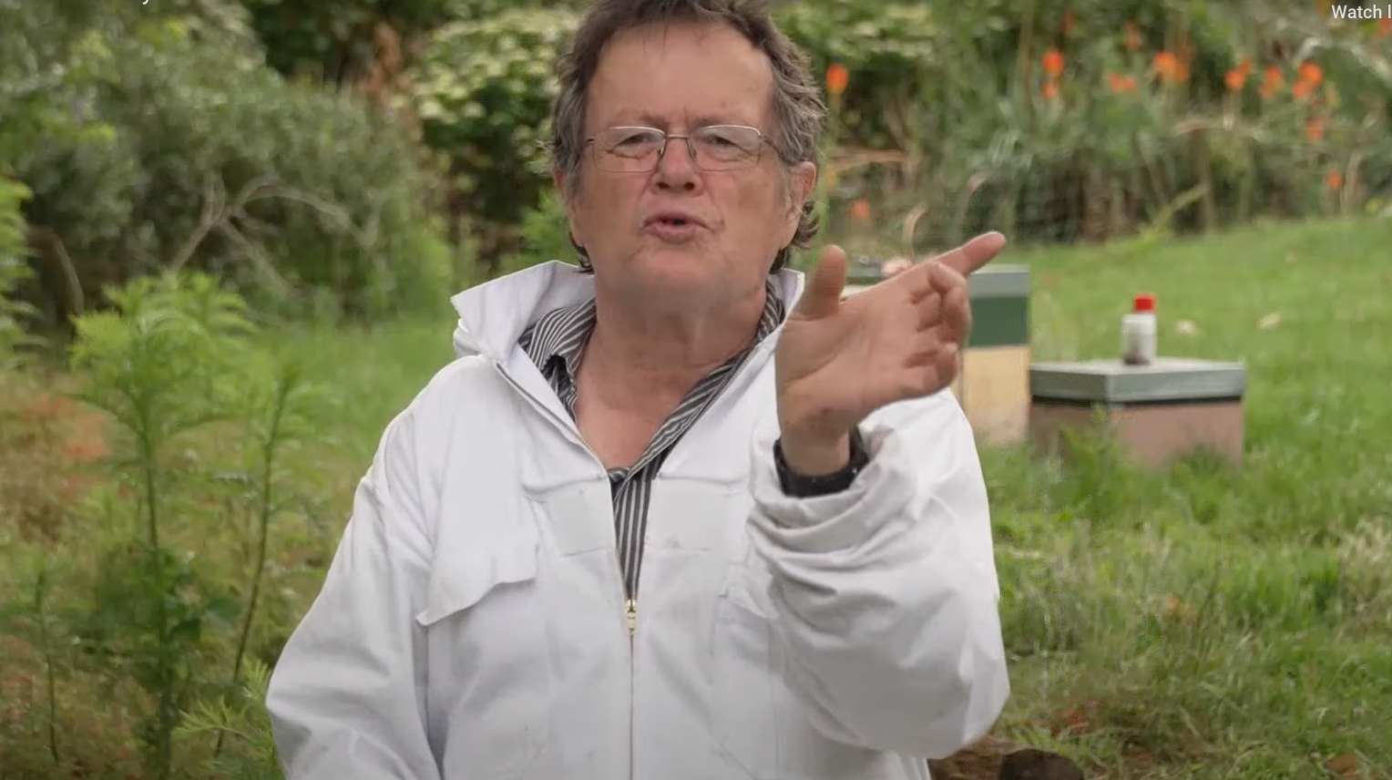 Organic Varroa Mite Treatments for Australian Beekeepers