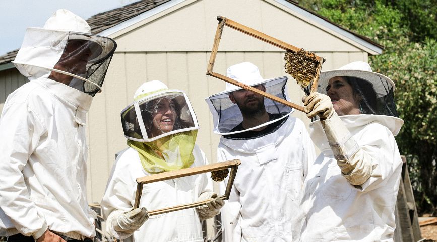 5 Reasons To Start Beekeeping