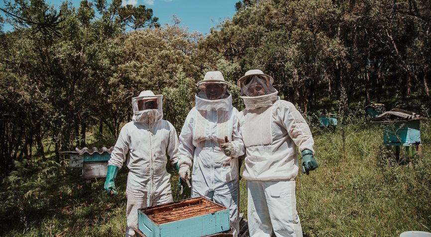 Beekeeping Club Near Me: Joining A Beekeeping Club In Australia
