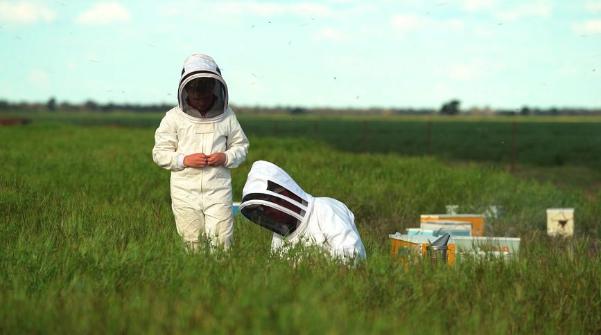 Future Beekeeping: Innovative Technology