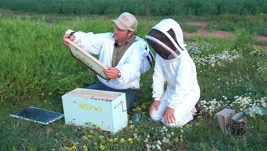 Beginner Beekeeping: Bee Hive Inspection Notes