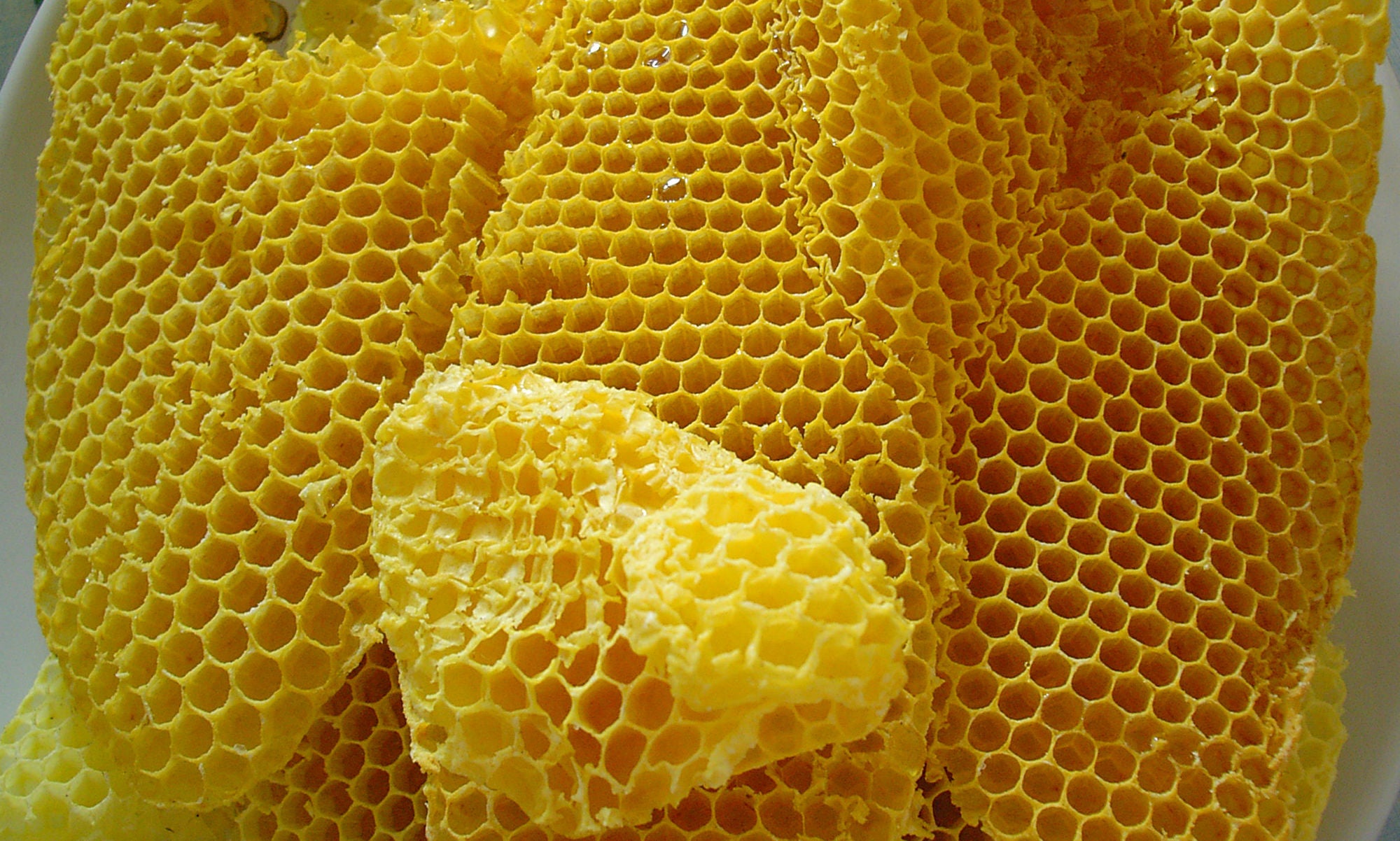 Minding your beeswax