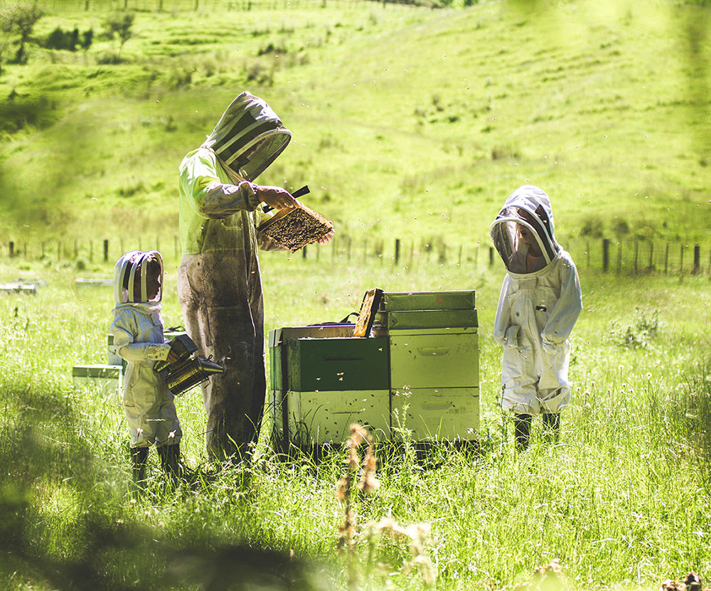 Beekeeping for Kids – Safe Beekeeping With Littlies