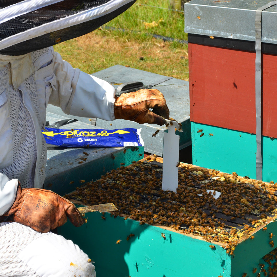 APITRAZ - Varroa Control Miticide Strips – Treats 5x Hives*
