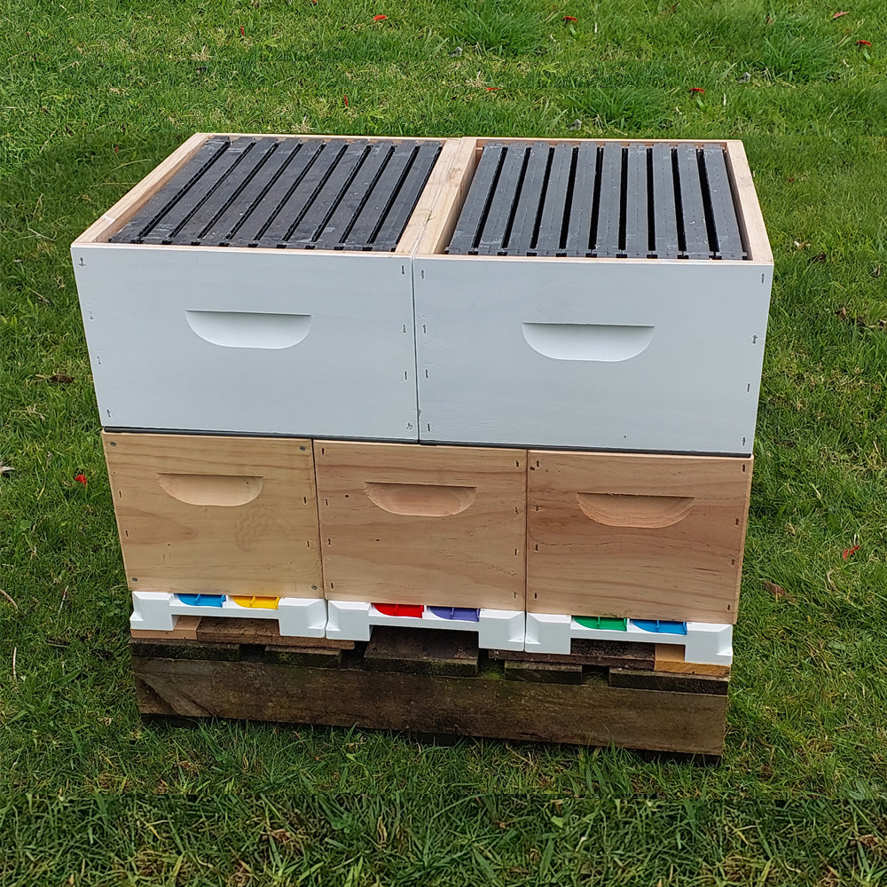 Bee Hive Nuc - Fully Assembled - 6F with Base + Lid + Nuc box