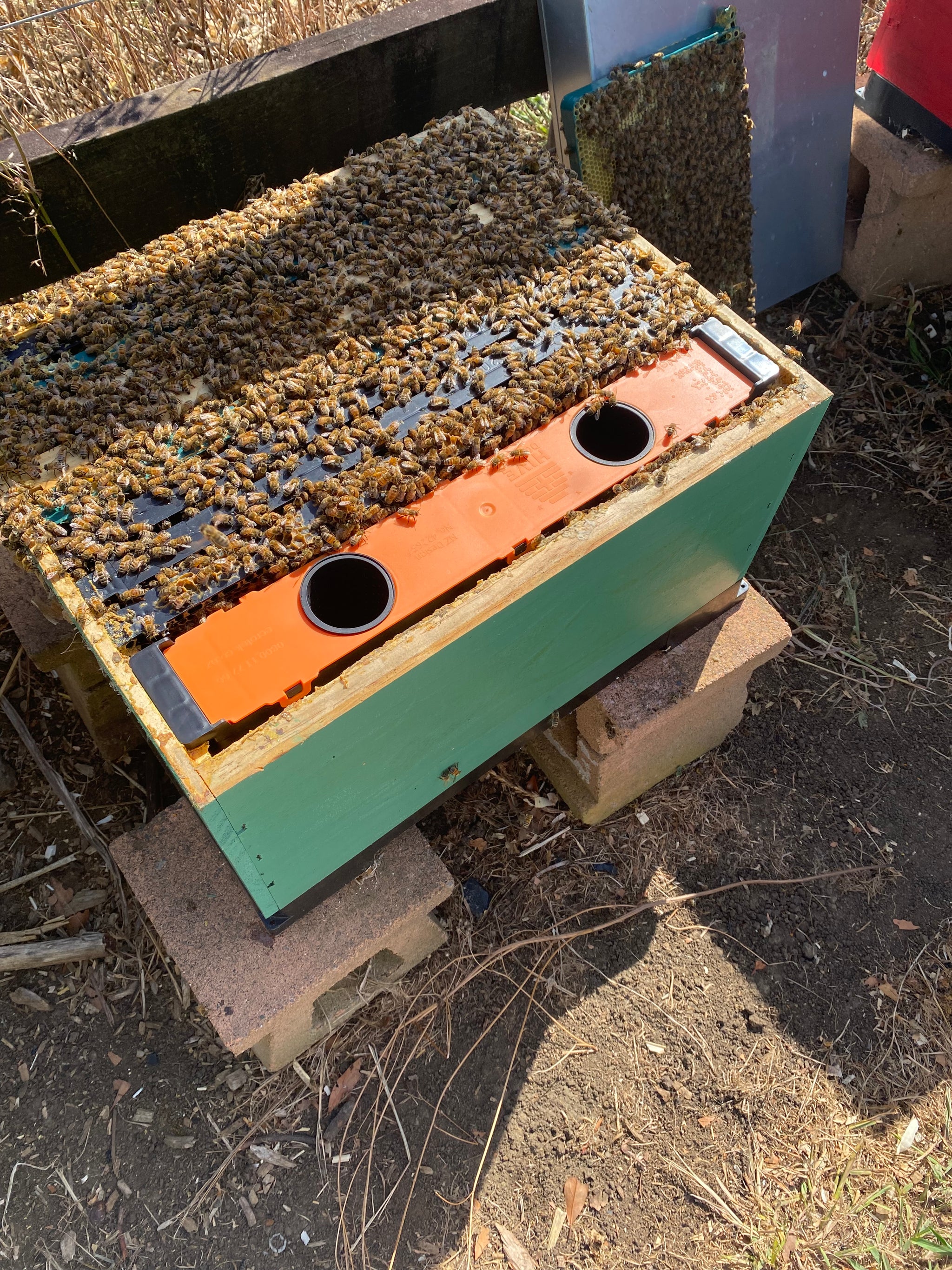 Hive Doctor W5 Frame Feeder (5L) Ecrotek Beekeeping Supplies Australia