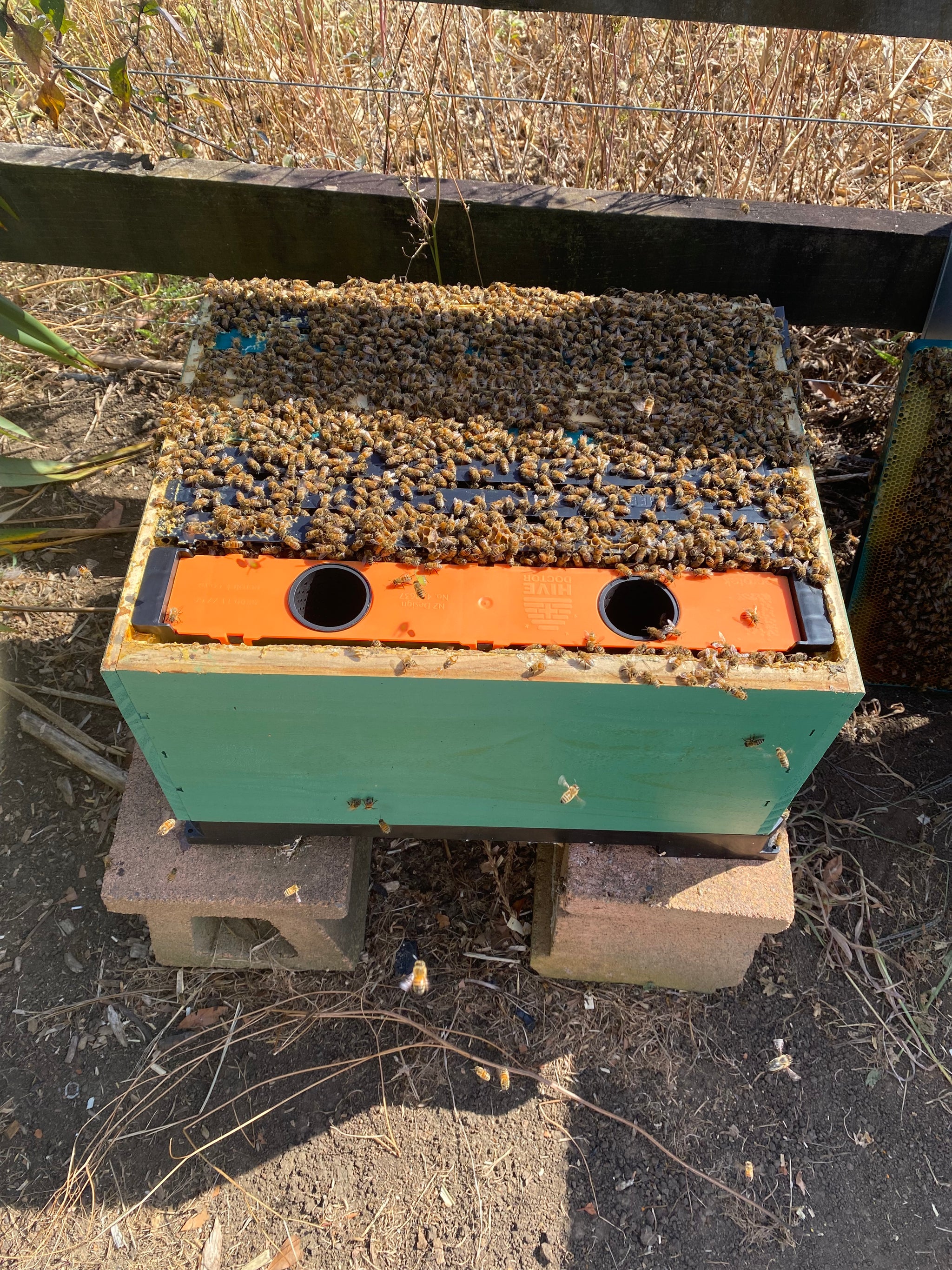 Hive Doctor W5 Frame Feeder (5L) Ecrotek Beekeeping Supplies Australia