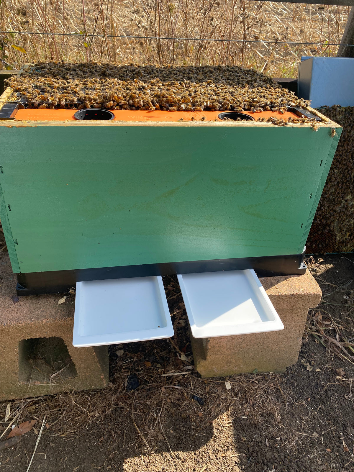 Varroa &amp; Beetle Kill Tray - for Smart Bottom Board - 8 Frame