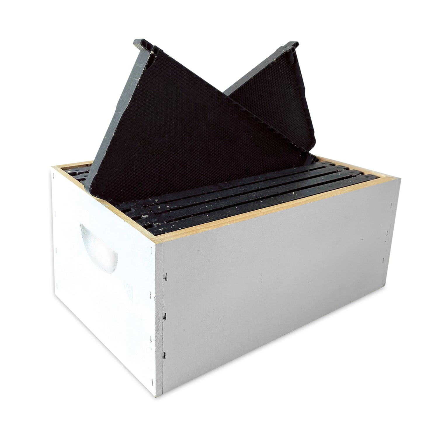 ReadyToGo Super Beetek+ Waxed Plastic Frames Full Depth (Standar Ecrotek Beekeeping