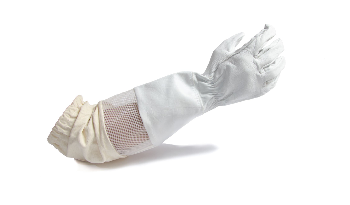 Premium Vented Leather Gloves