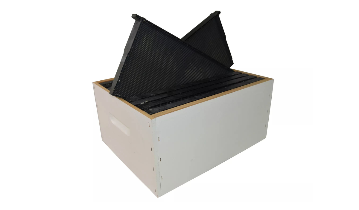 Bee Hive Box - Assembled with Waxed Plastic Frames - Budget Grade