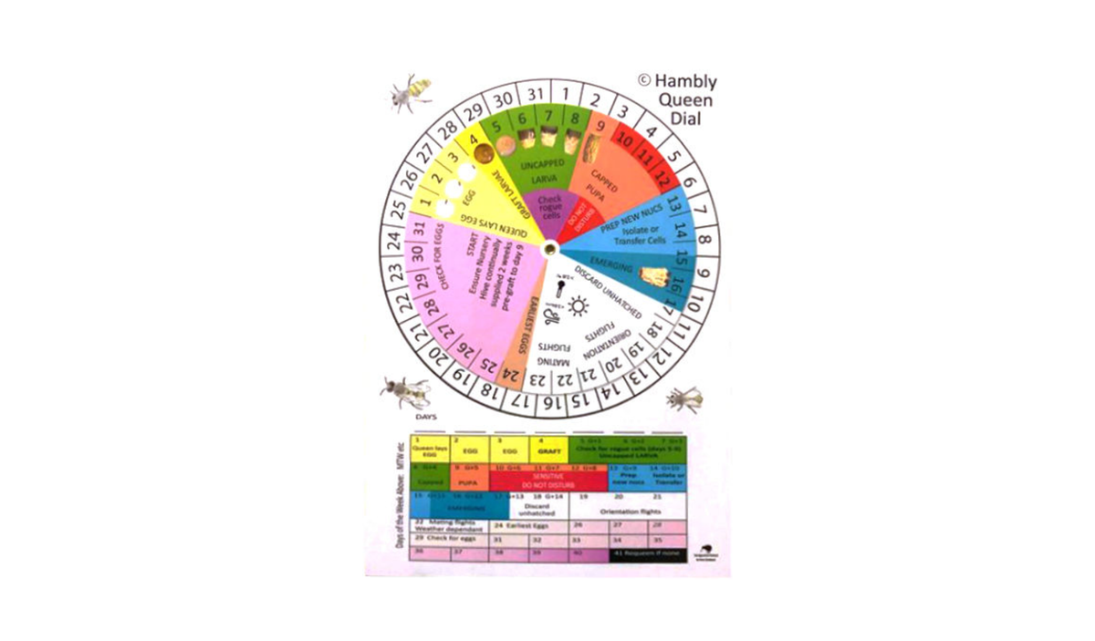 Queen Grafting Calendar