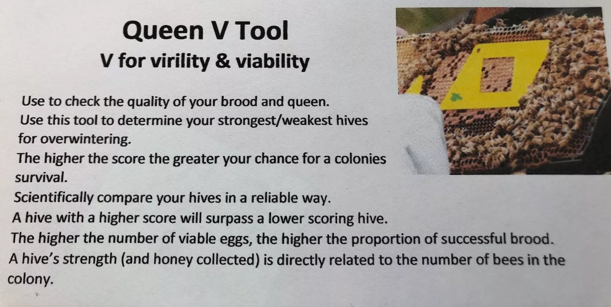 Queen V Tool - Virility and Viability